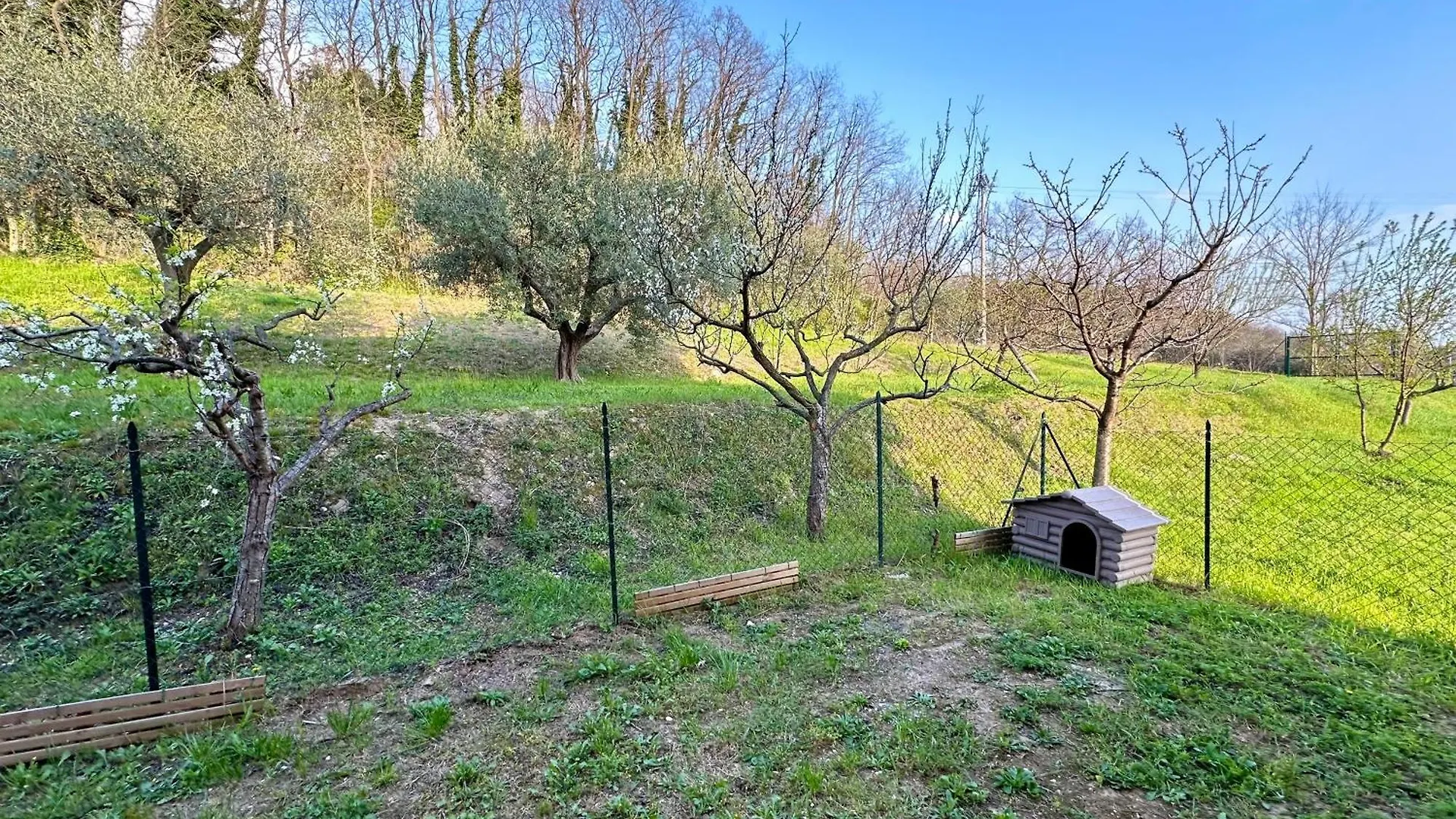 La Casa Di Lina Apartment Bardolino